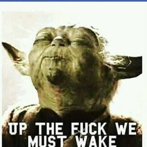 Meet your Posher, Benjamin